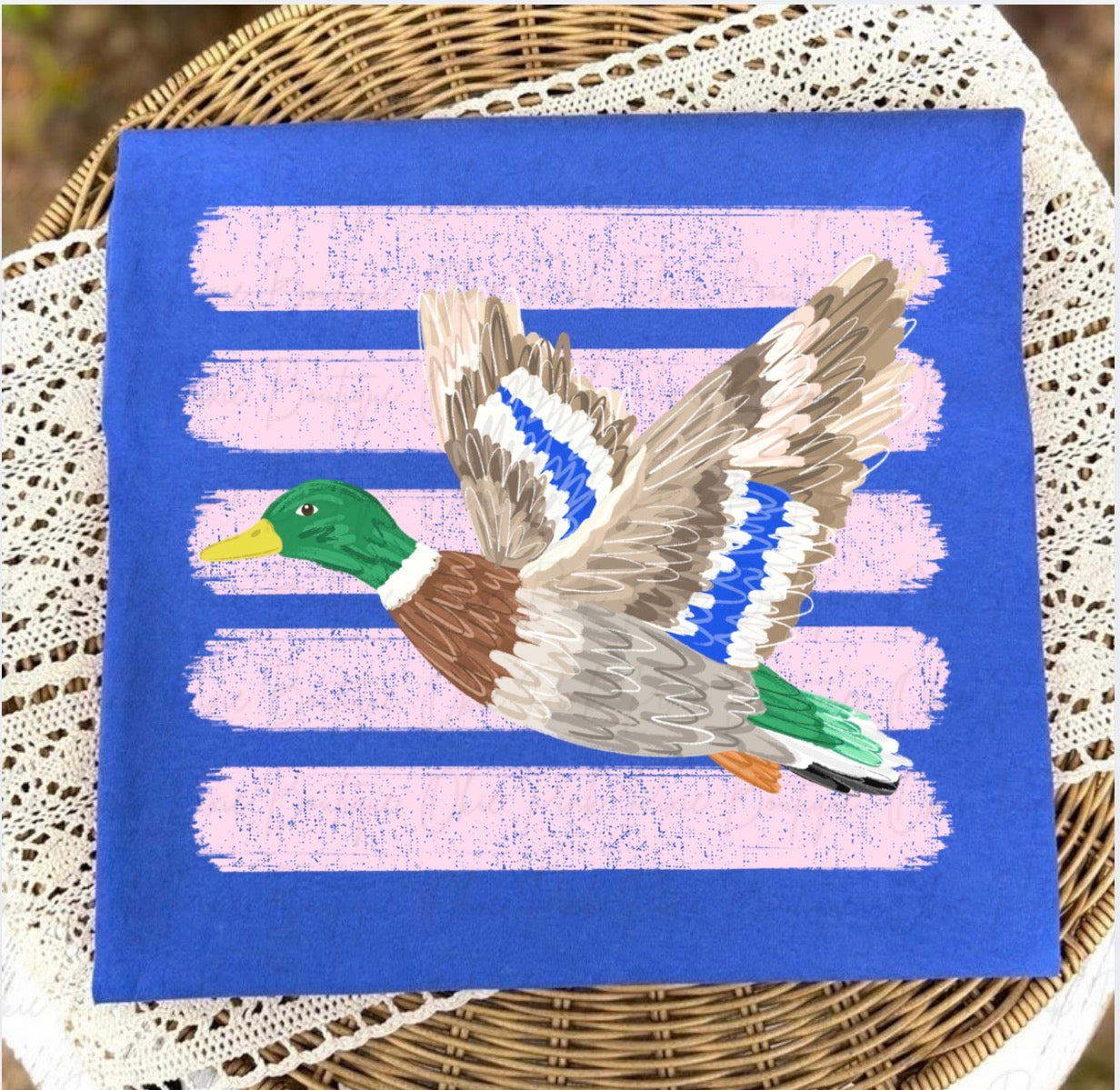 Flying Duck