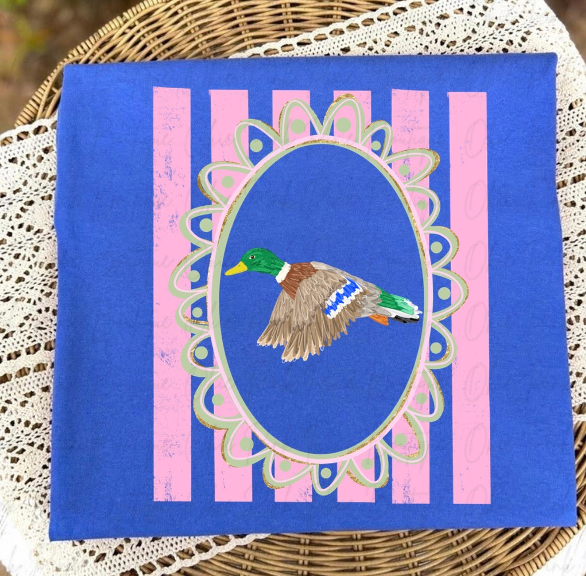 Flying Duck in frame