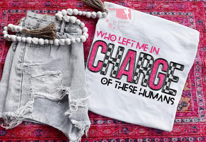 Who left me in charge of these humans