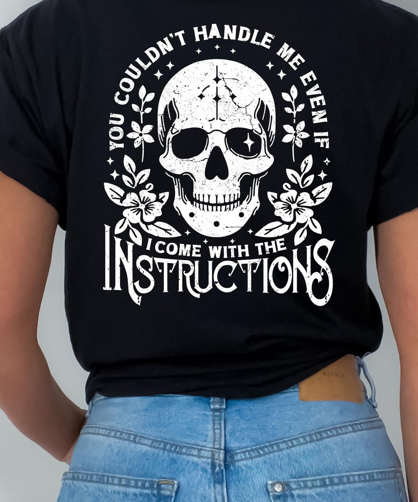 You couldnt handle me even if I came with Instructions